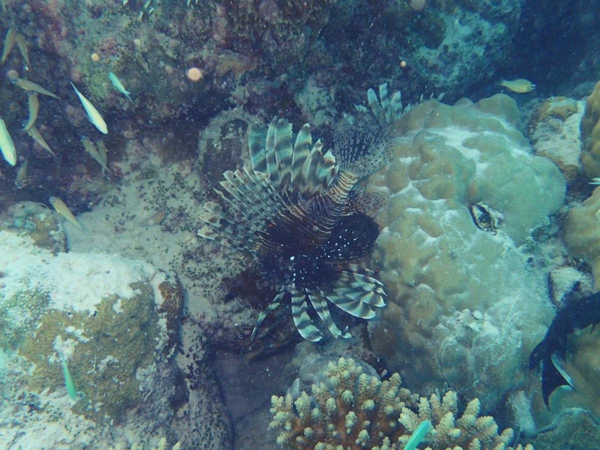 Ras Village Rasdhoo Exteriör bild