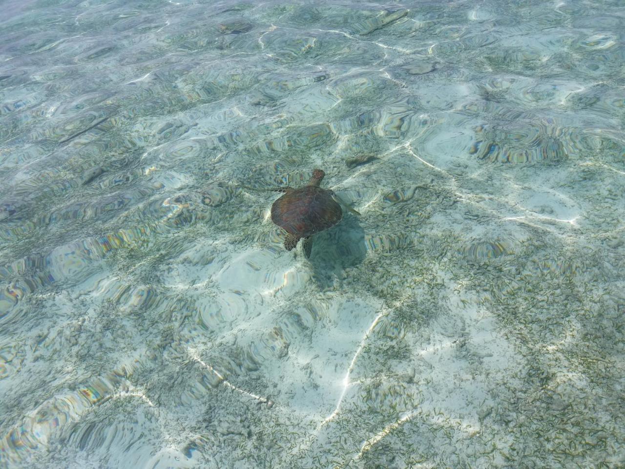 Ras Village Rasdhoo Exteriör bild